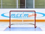 Имитатор - хоккейные ворота Т-770 - магазин СпортДоставка. Спортивные товары интернет магазин в Владимире 